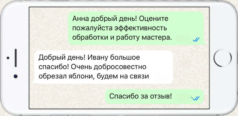 оказываем лечение деревьев от любых болезней - фото №4