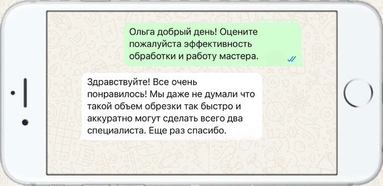 оказываем лечение деревьев от любых болезней - фото №6