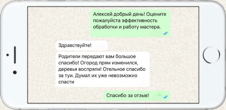 оказываем лечение деревьев от любых болезней - фото №7