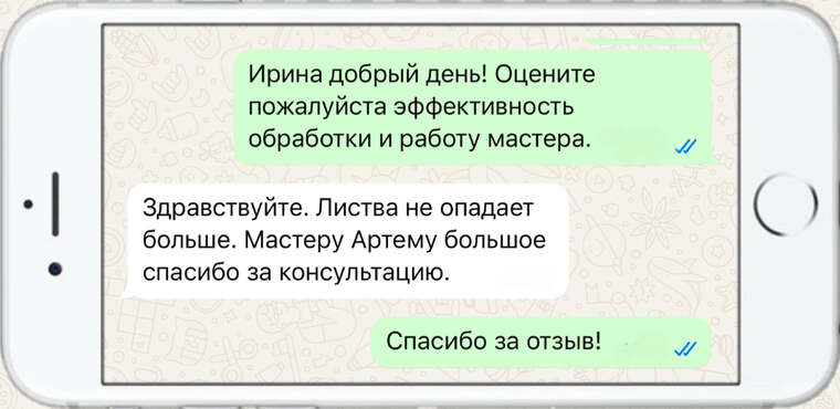 оказываем лечение деревьев от любых болезней - фото №10