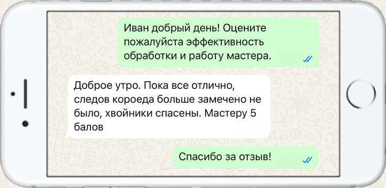 оказываем лечение деревьев от любых болезней - фото №14